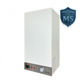 Caldera Electrica Flowing Advance DS 30
