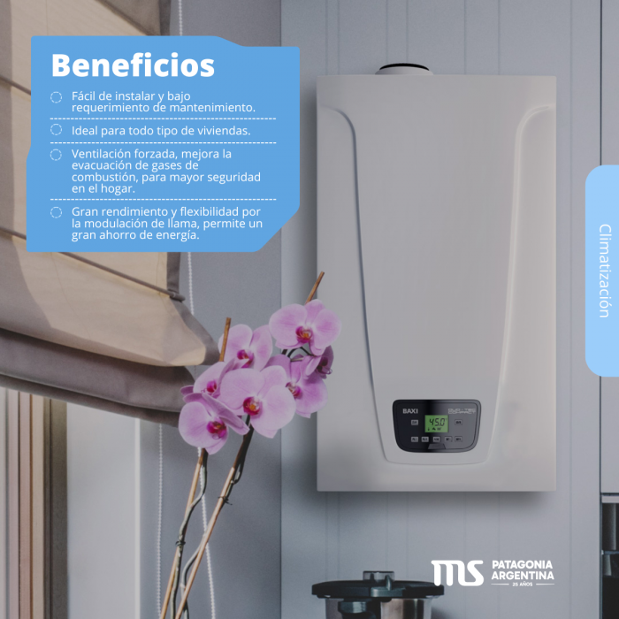 Caldera Eco Nova 31F Tiro Forzado