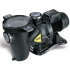 Bomba Para Pileta Dab Euroswim 100 M